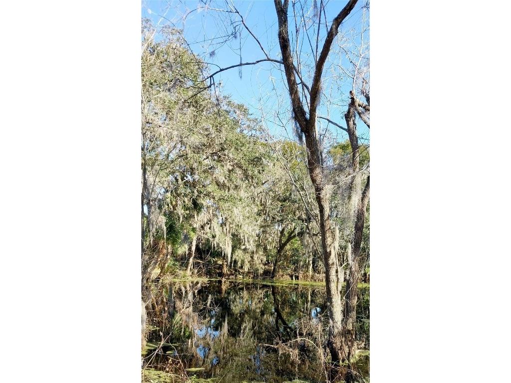 11105 Winn Road Riverview FL 33569 TB8333070 image12