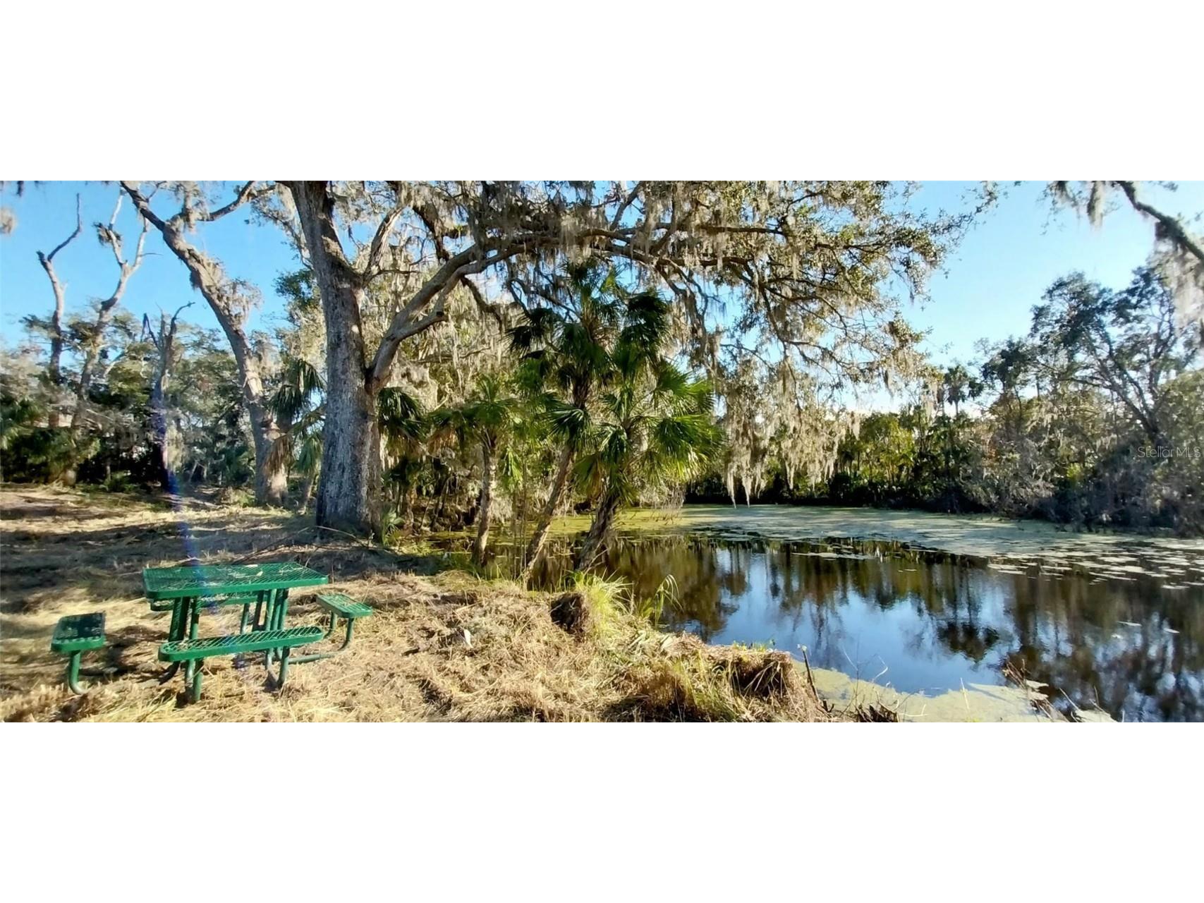 11105 Winn Road Riverview FL 33569 TB8333070 image14