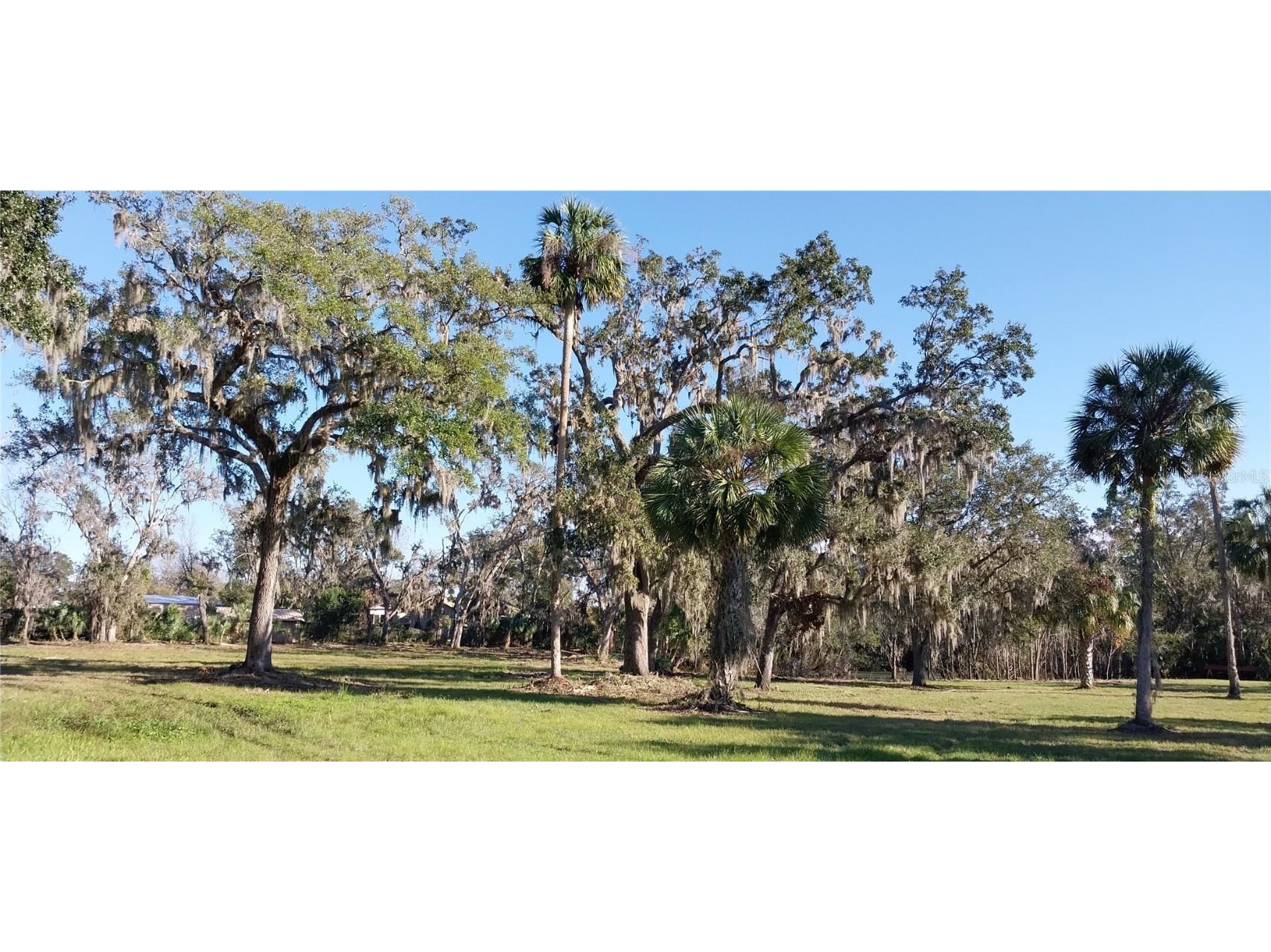 11105 Winn Road Riverview FL 33569 TB8333070 image16