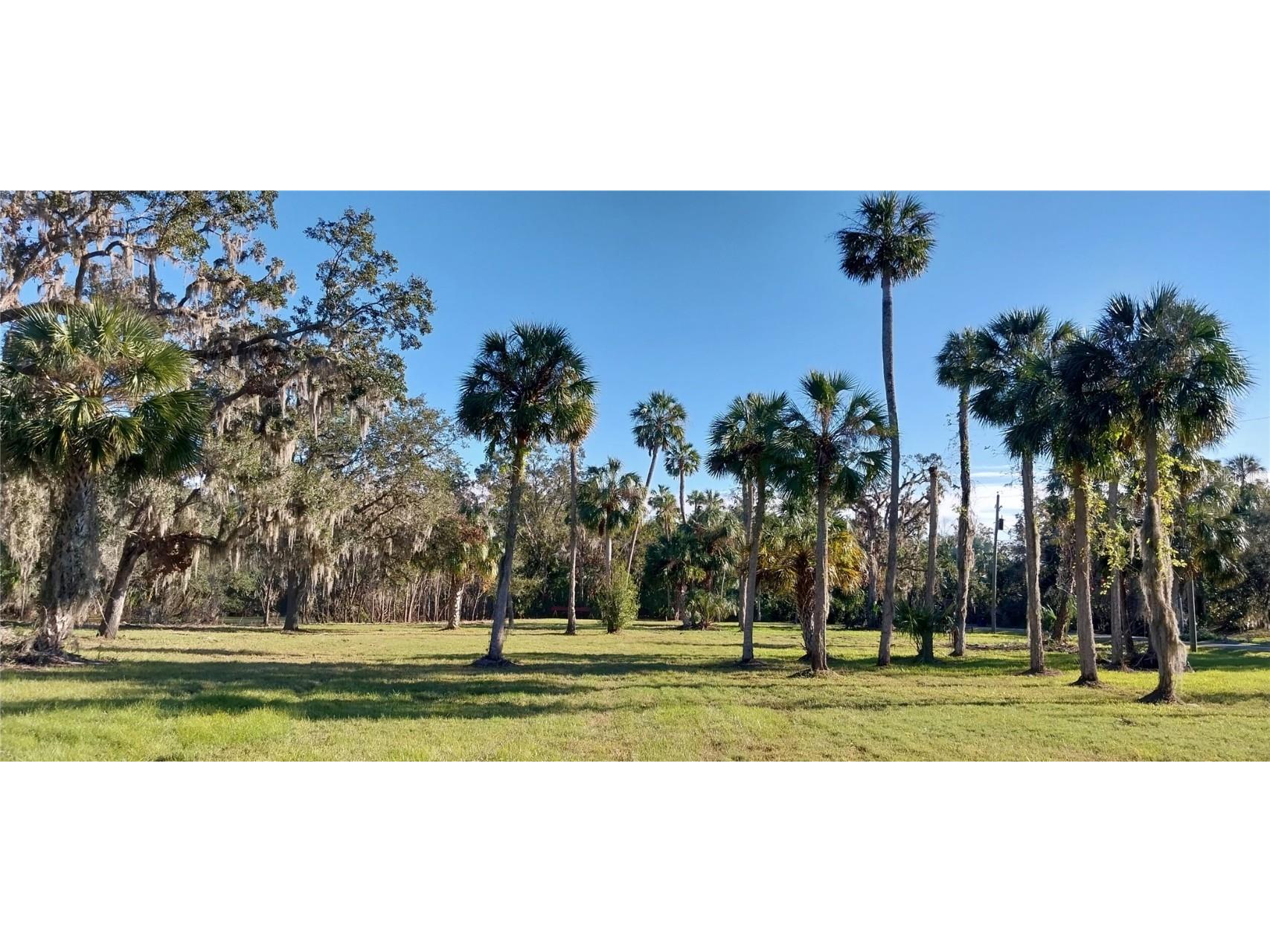 11105 Winn Road Riverview FL 33569 TB8333070 image3