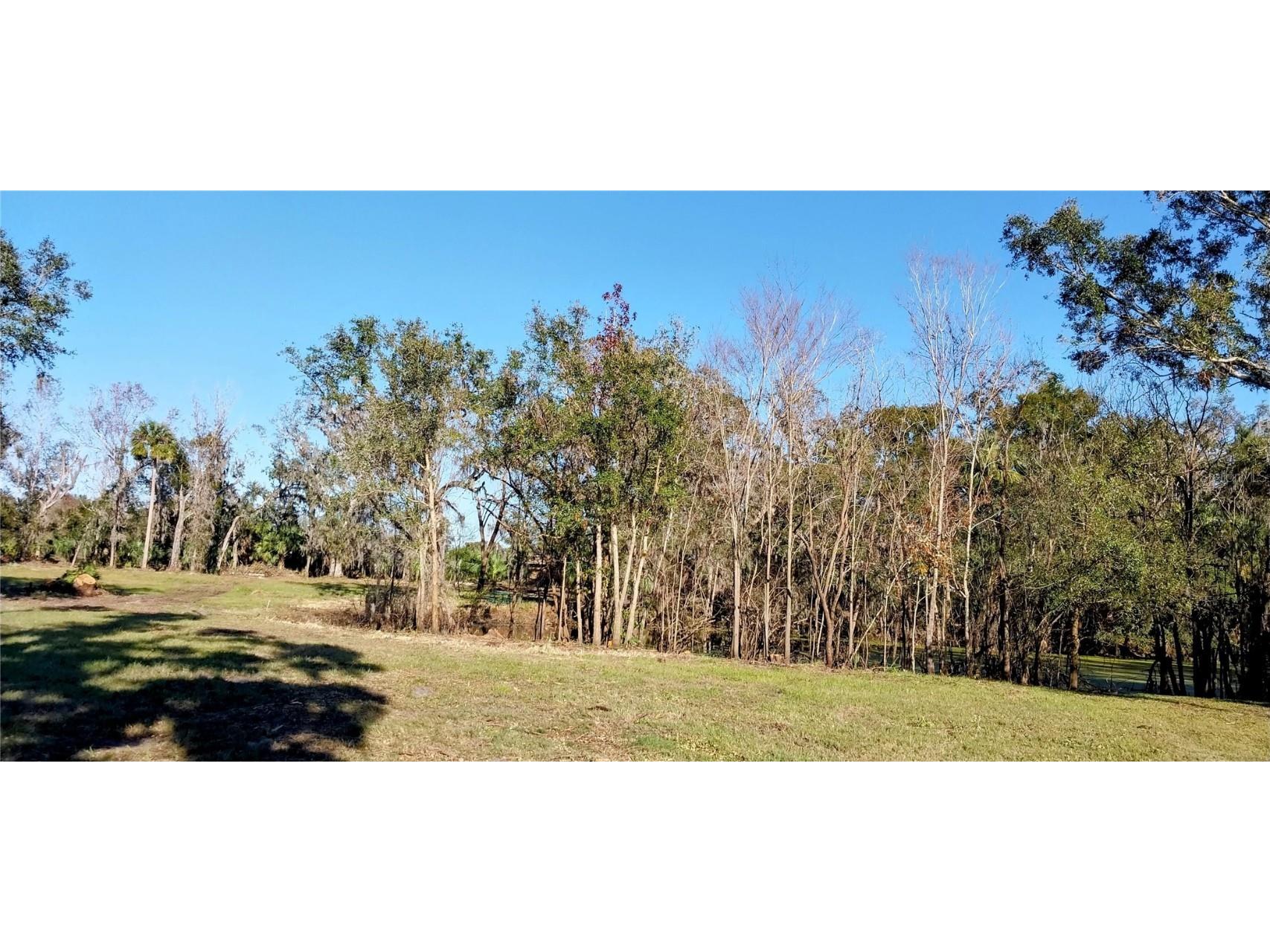 11105 Winn Road Riverview FL 33569 TB8333070 image9