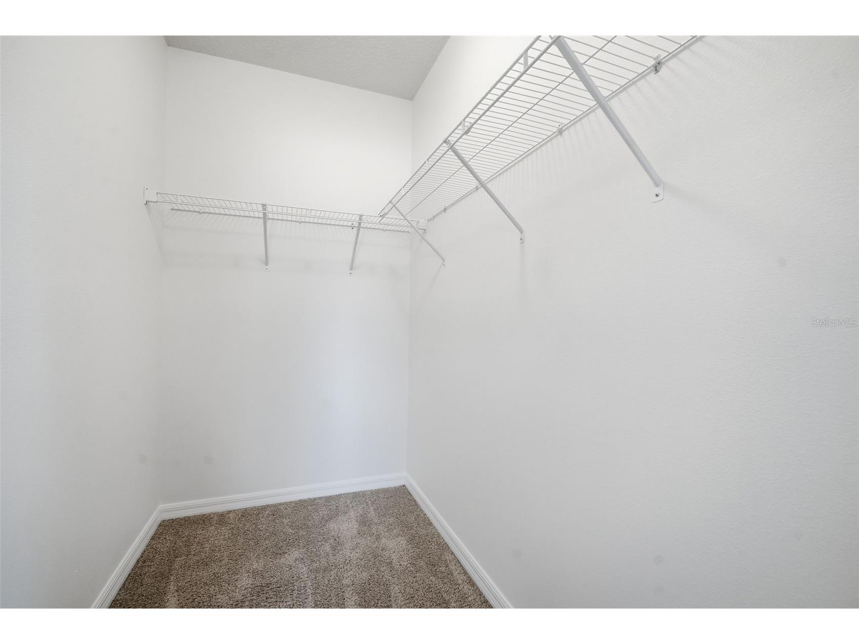 11106 Leland Groves Drive Riverview FL 33579 TB8474912 image24