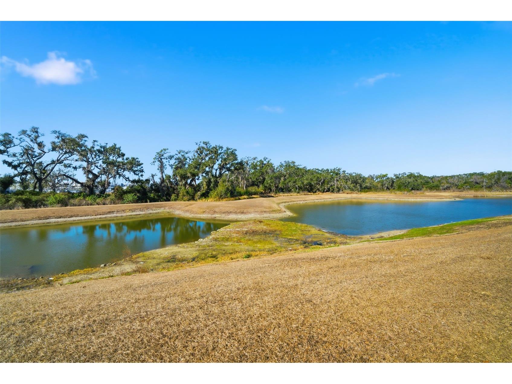 11106 Leland Groves Drive Riverview FL 33579 TB8474912 image41