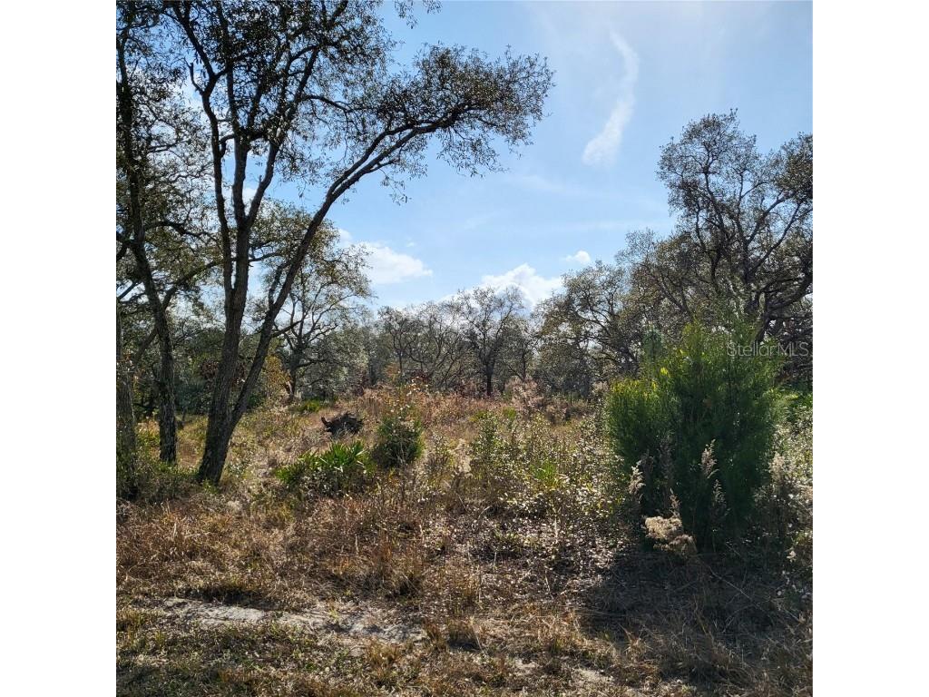 11106 Seattle Wren Avenue Weeki Wachee FL 34614 W7871354 image1