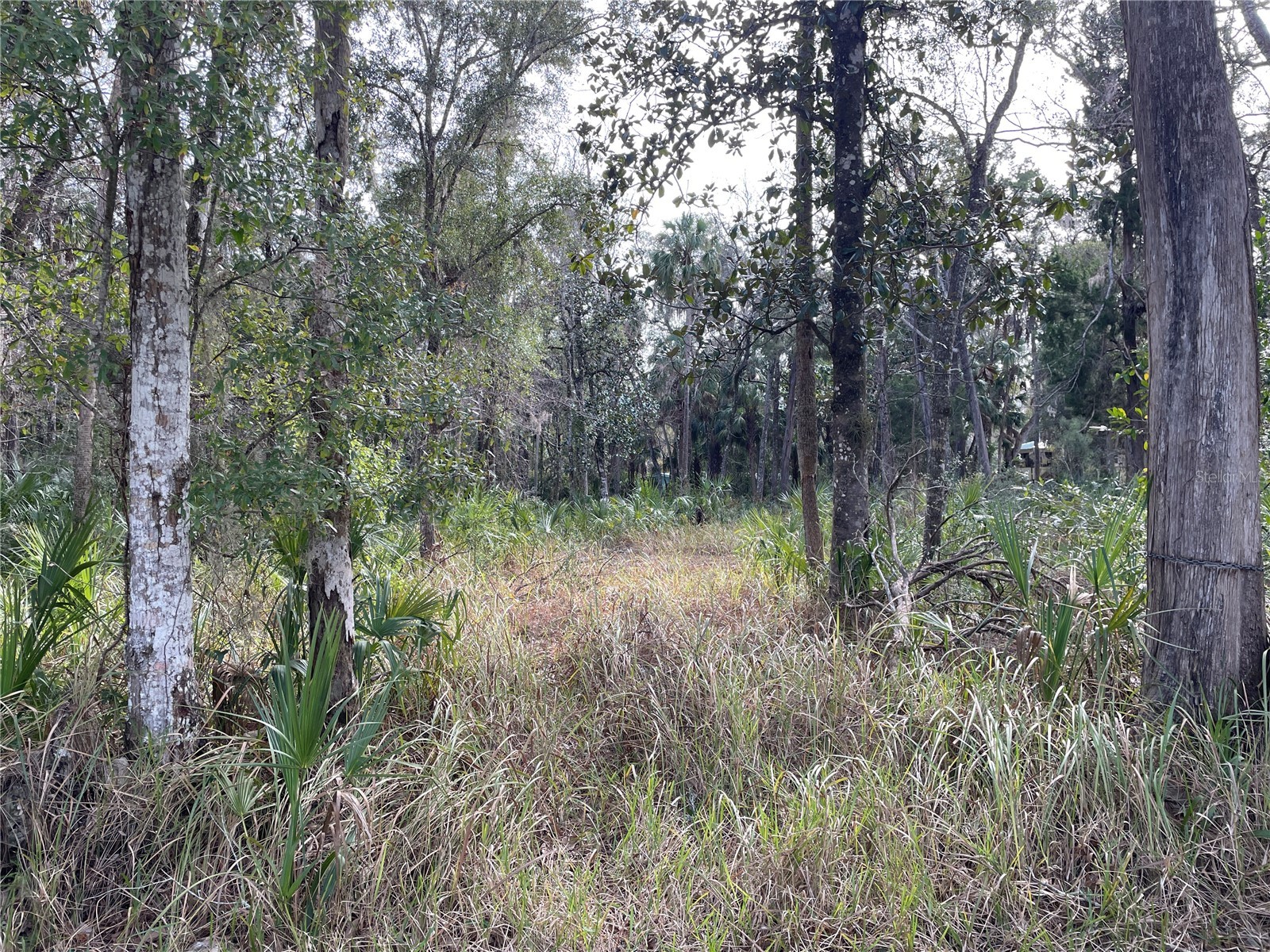 11106 W Townsend Lane Homosassa FL 34448 OM717146 image1