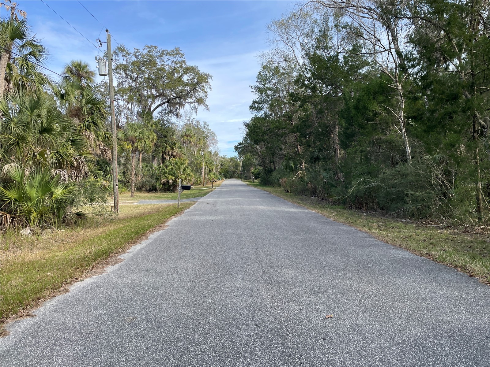 11106 W Townsend Lane Homosassa FL 34448 OM717146 image2