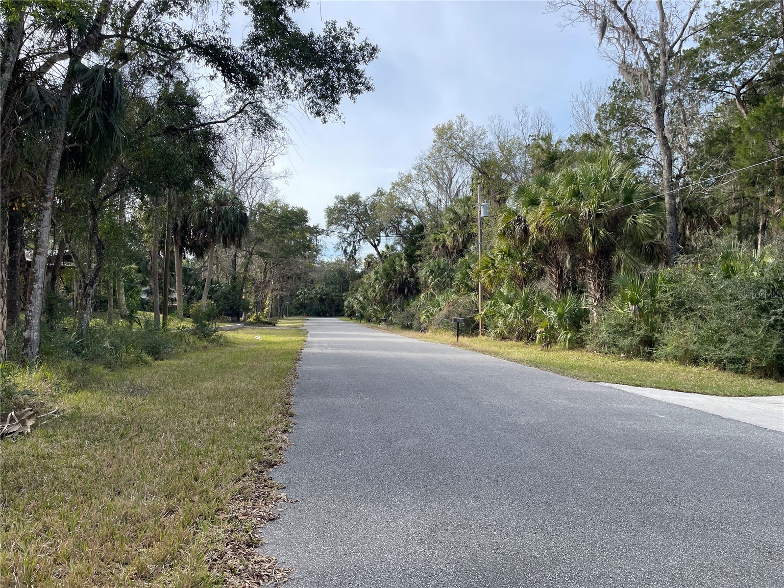 11106 W Townsend Lane Homosassa FL 34448 OM717146 image4