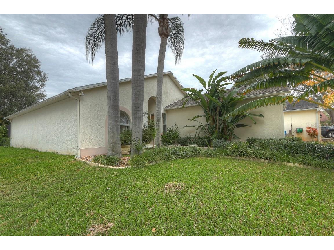 11107 Bloomington Drive Tampa FL 33635 T3496799 image1
