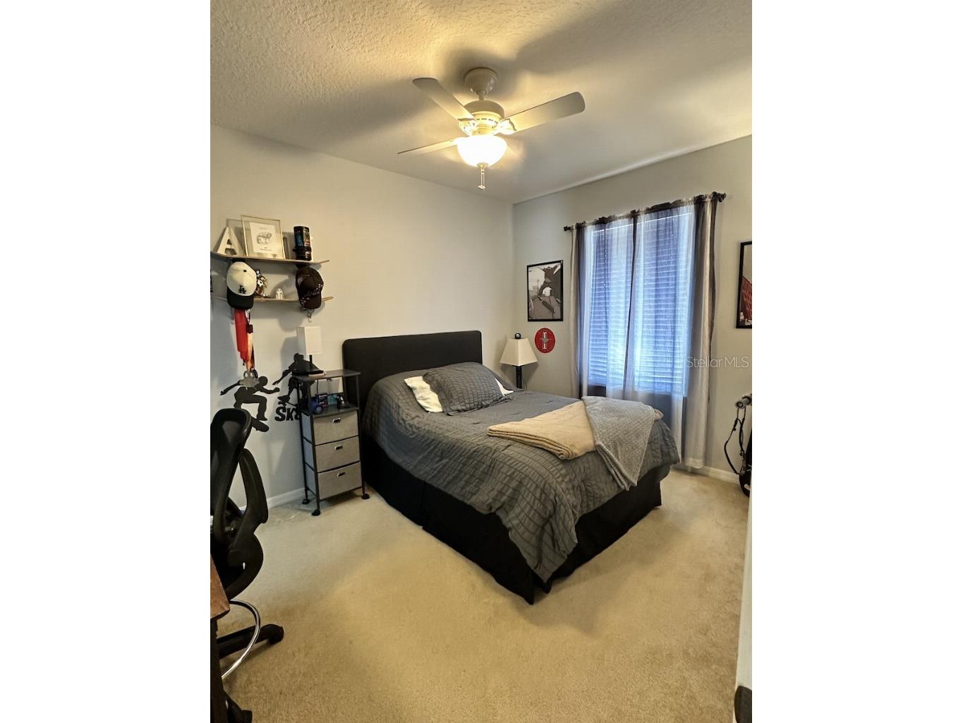 11107 Green Park Circle Tampa FL 33626 TB8501538 image10