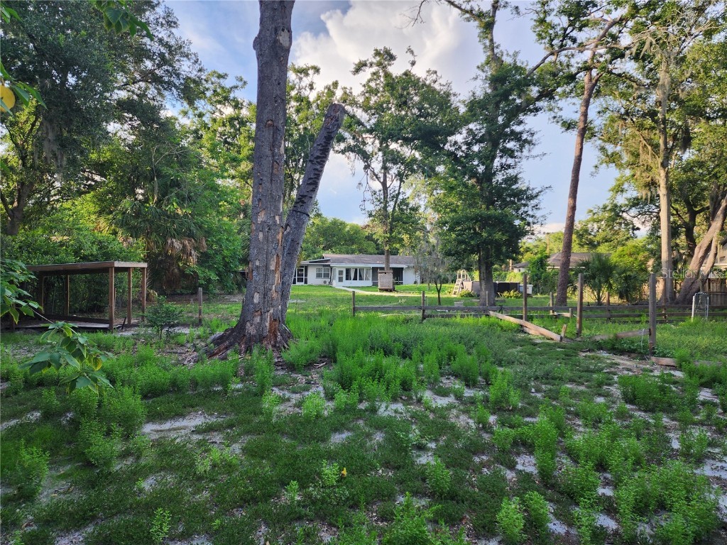 11107 Riverview Drive Riverview FL 33578 TB8392049 image50