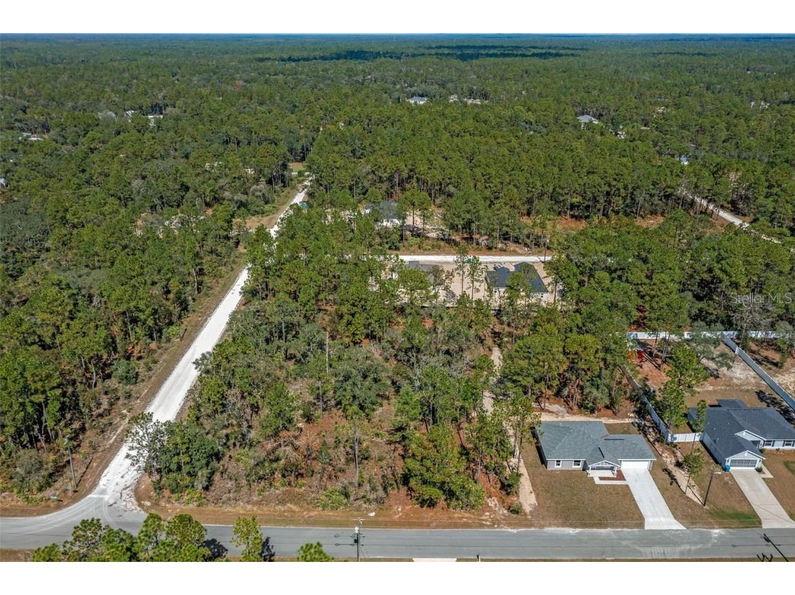 11107 Wood Owl Avenue Weeki Wachee FL 34614 TB8375271 image2