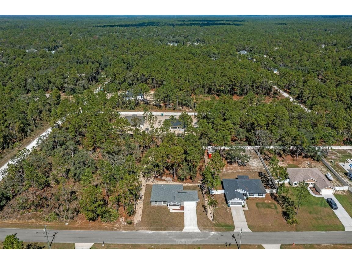 11107 Wood Owl Avenue Weeki Wachee FL 34614 TB8375271 image3