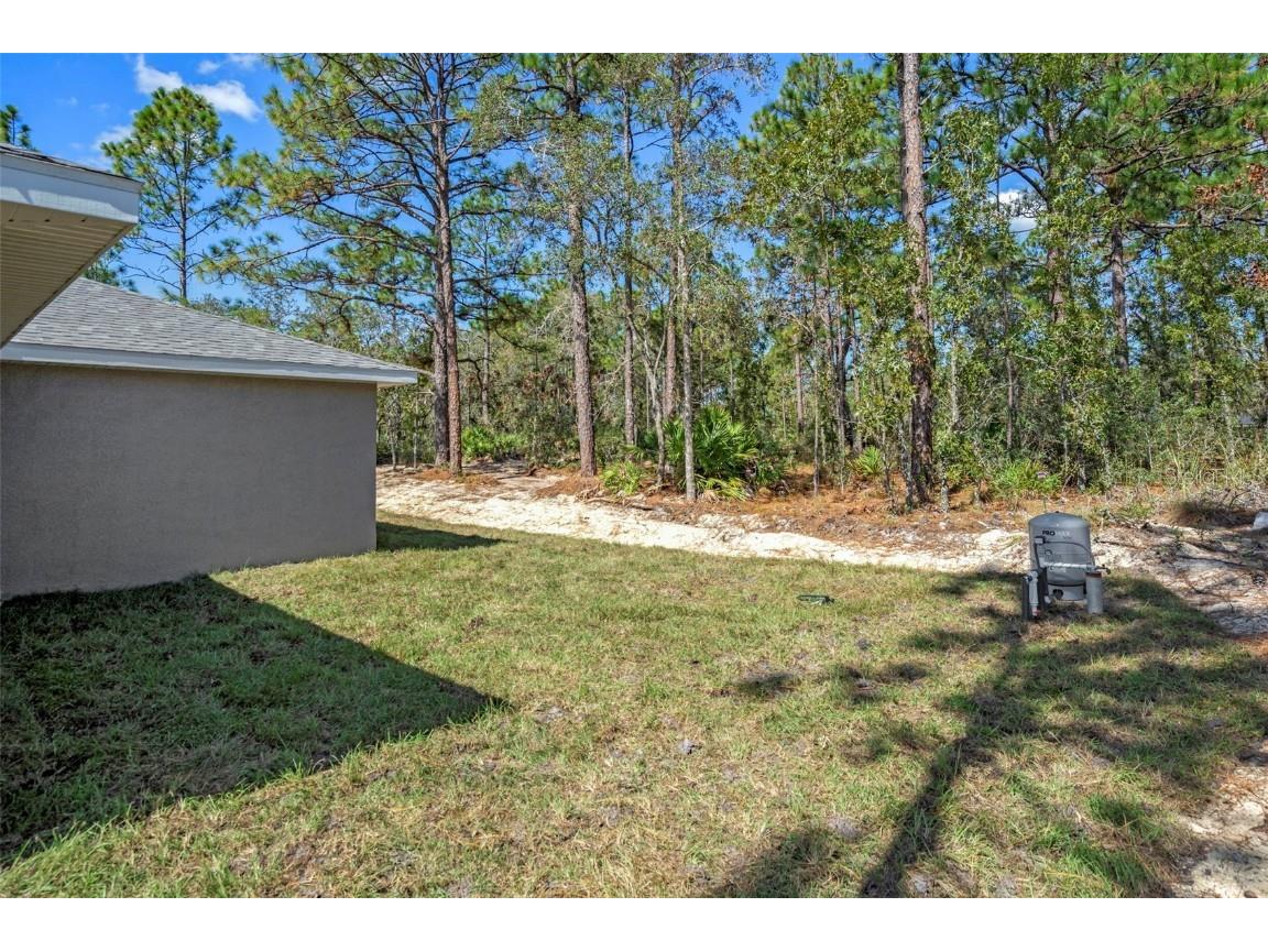 11107 Wood Owl Avenue Weeki Wachee FL 34614 TB8375271 image31