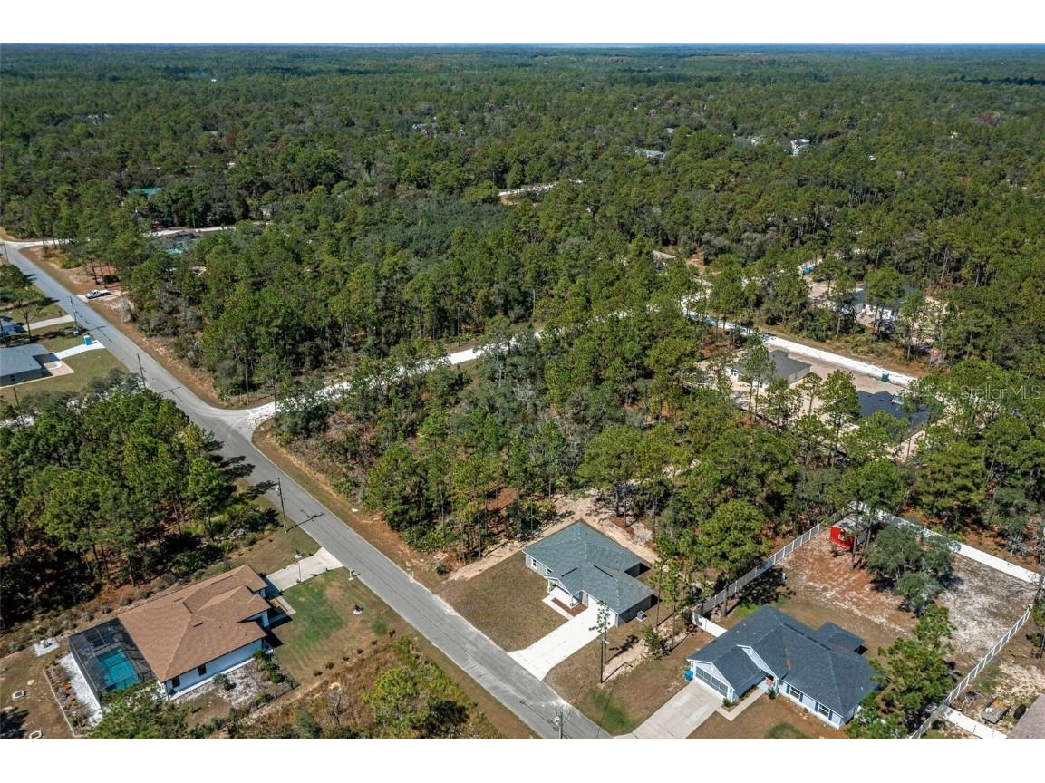 11107 Wood Owl Avenue Weeki Wachee FL 34614 TB8375271 image4