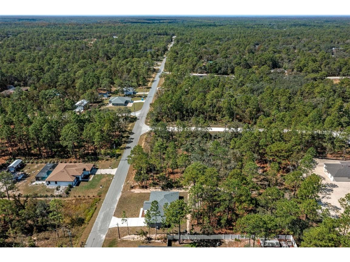 11107 Wood Owl Avenue Weeki Wachee FL 34614 TB8375271 image5