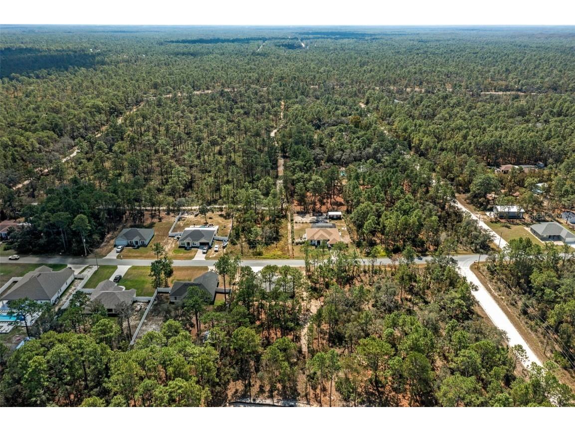 11107 Wood Owl Avenue Weeki Wachee FL 34614 TB8375271 image6