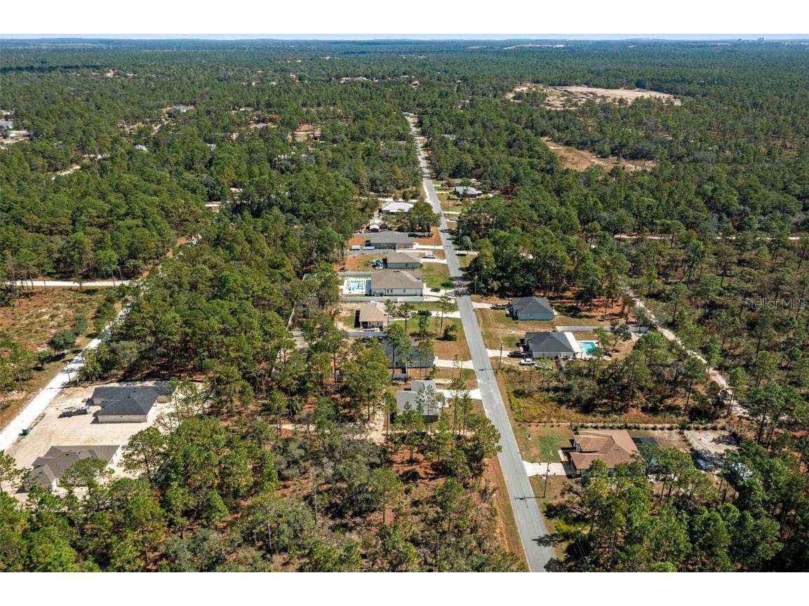 11107 Wood Owl Avenue Weeki Wachee FL 34614 TB8375271 image7