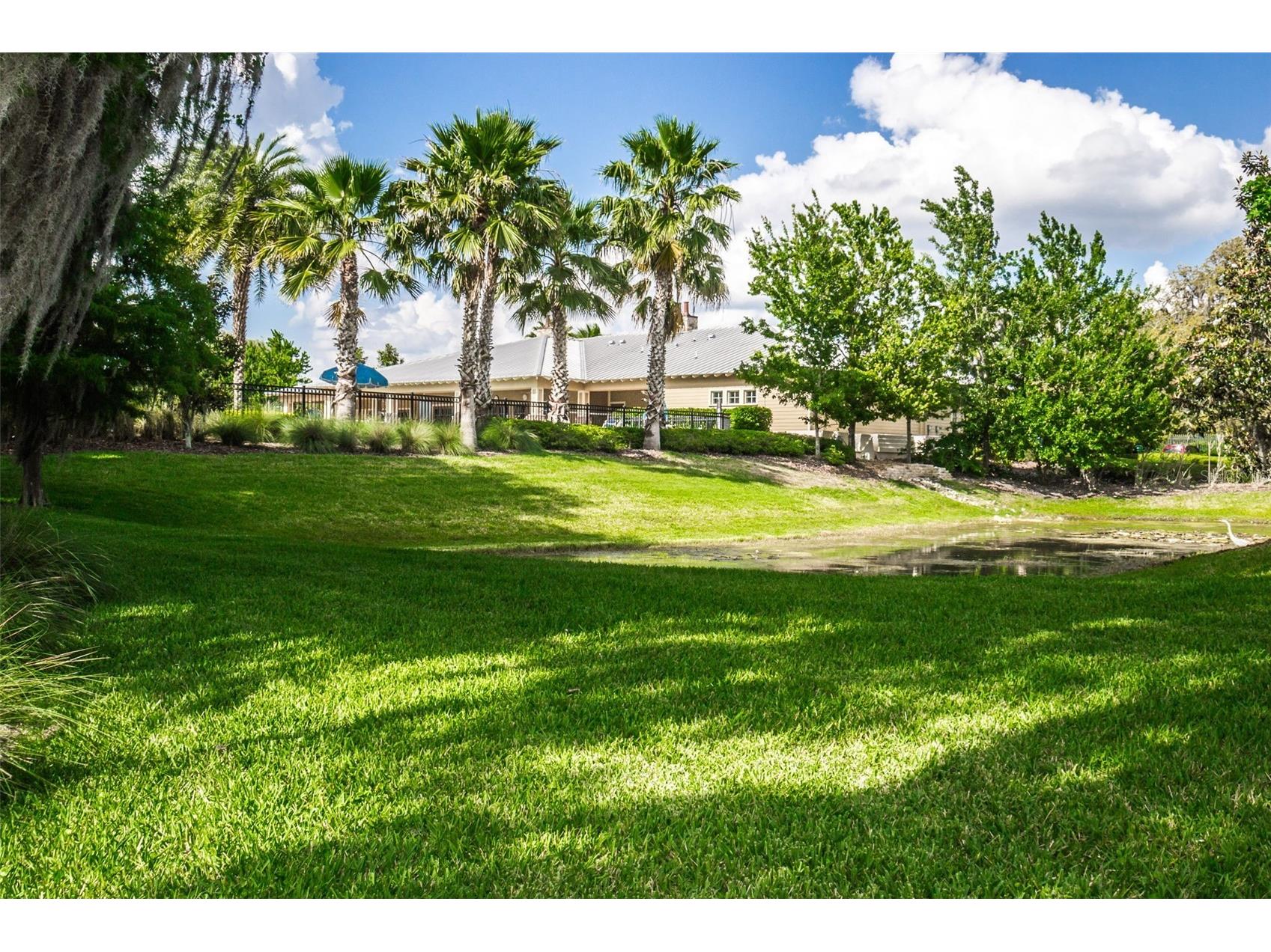 11108 Belle Haven Drive New Port Richey FL 34654 W7882482 image84