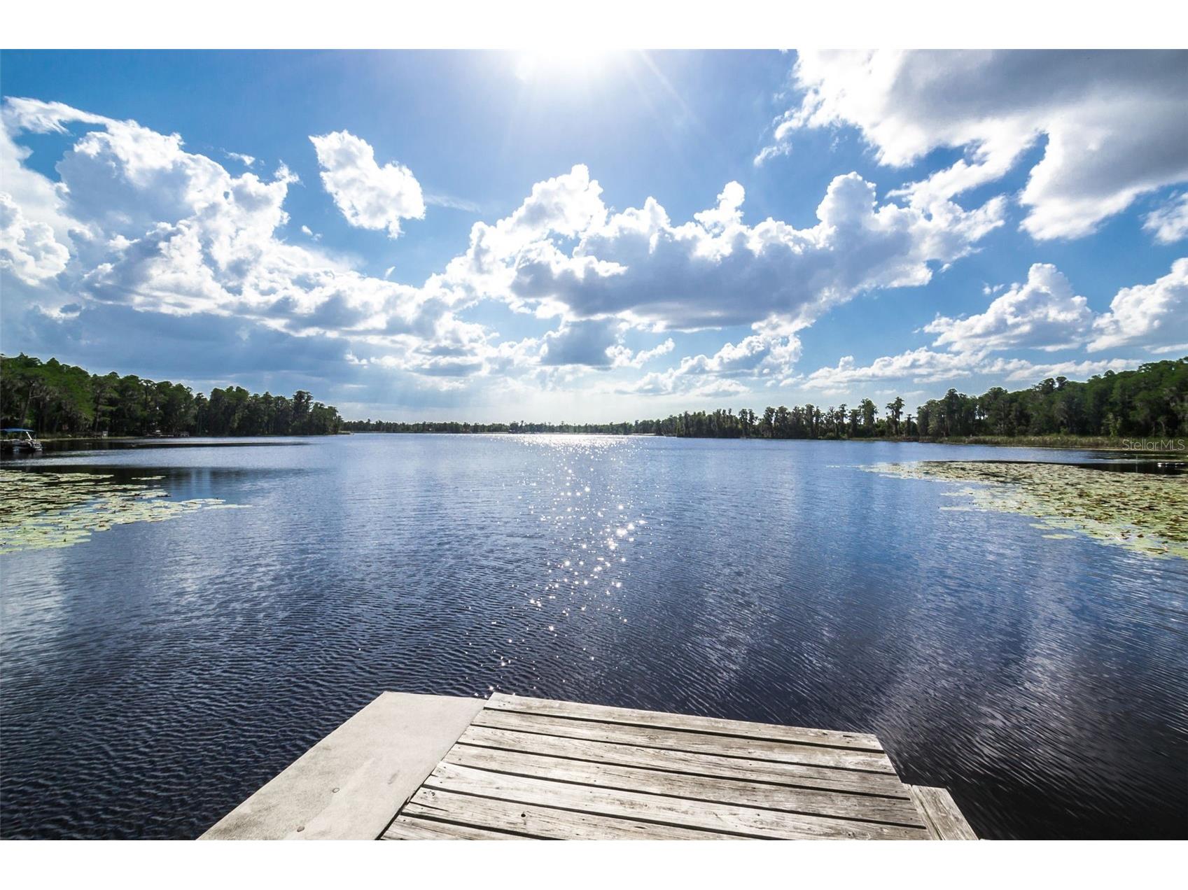 11108 Belle Haven Drive New Port Richey FL 34654 W7882482 image86