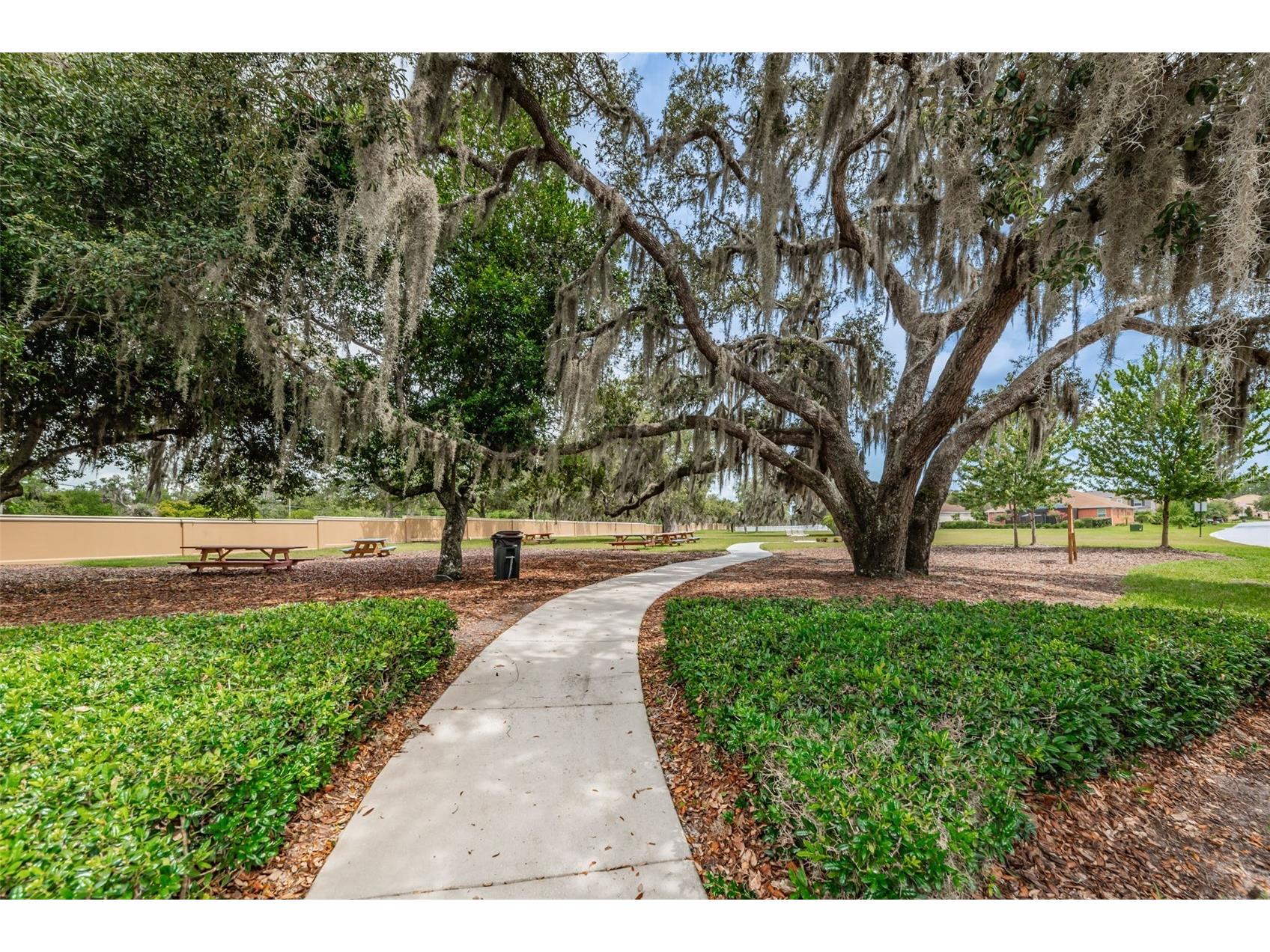 11108 Belle Haven Drive New Port Richey FL 34654 W7882482 image94