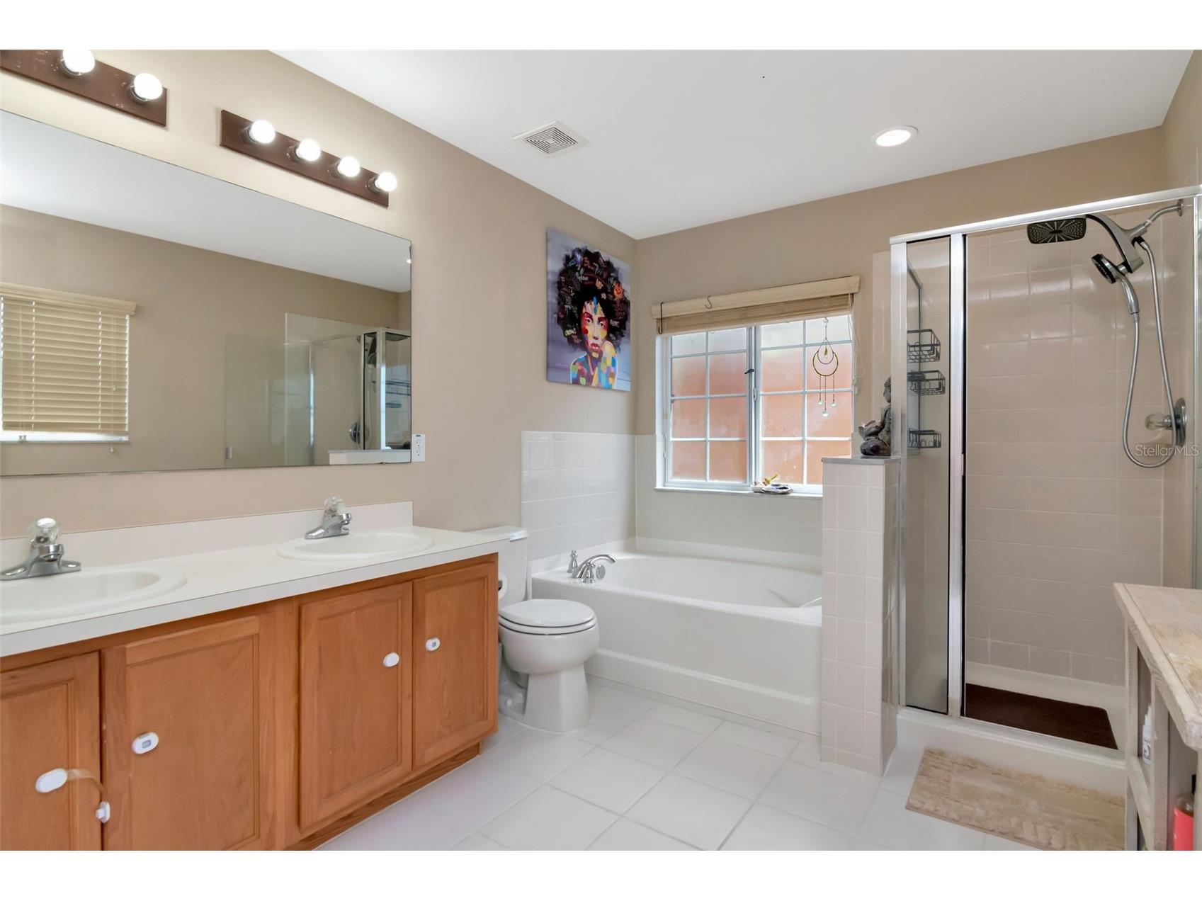 11108 Silver Fern Way Riverview FL 33569 TB8497504 image27