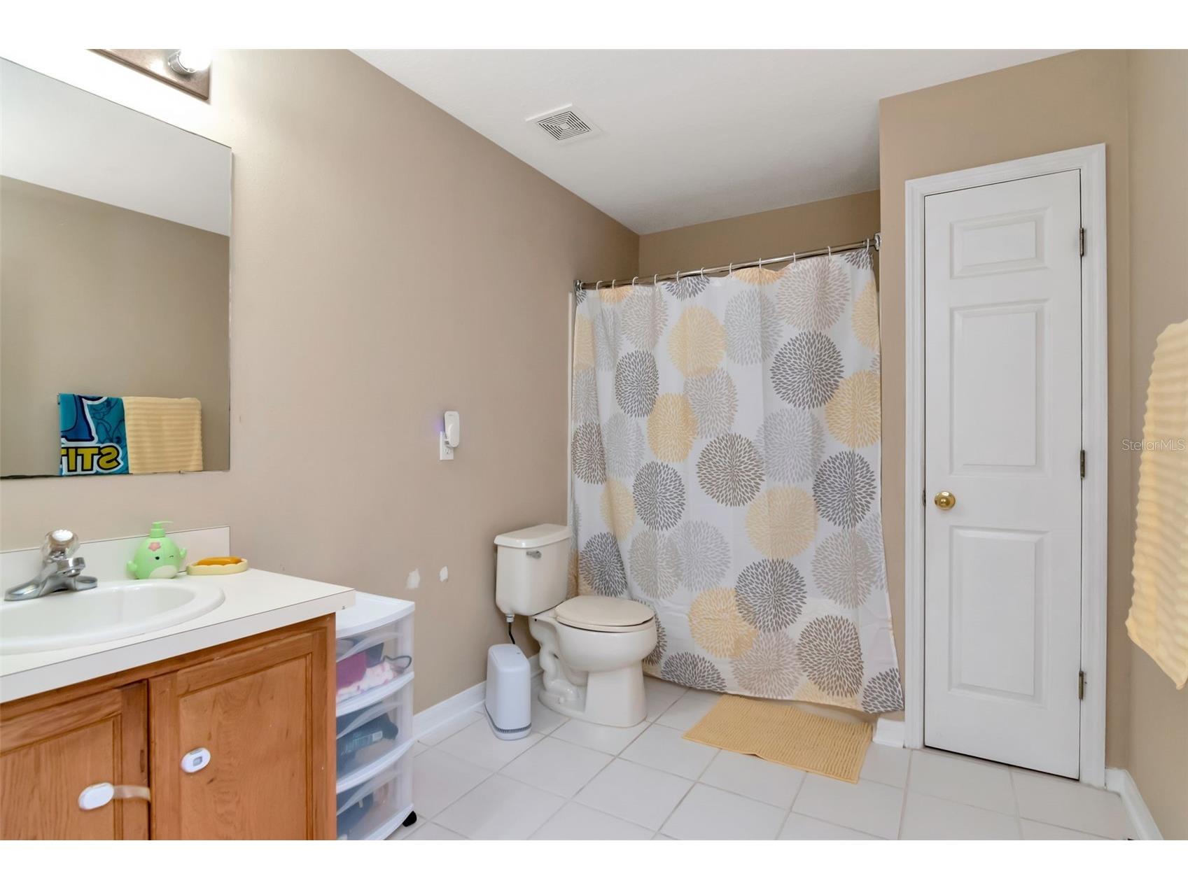 11108 Silver Fern Way Riverview FL 33569 TB8497504 image31