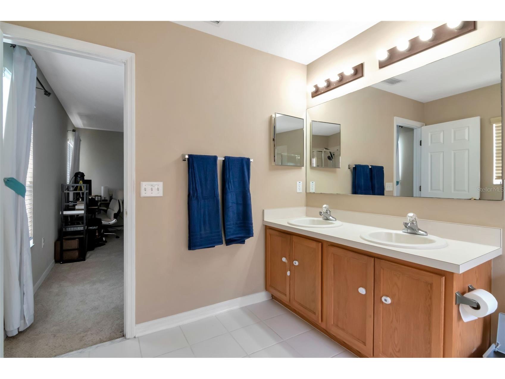 11108 Silver Fern Way Riverview FL 33569 TB8497504 image32