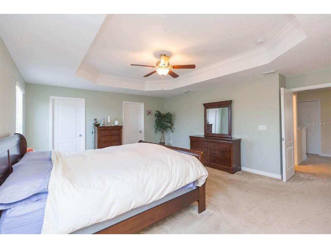 11109 Carrick Stone Street Wimauma FL 33598 TB8381931 image38