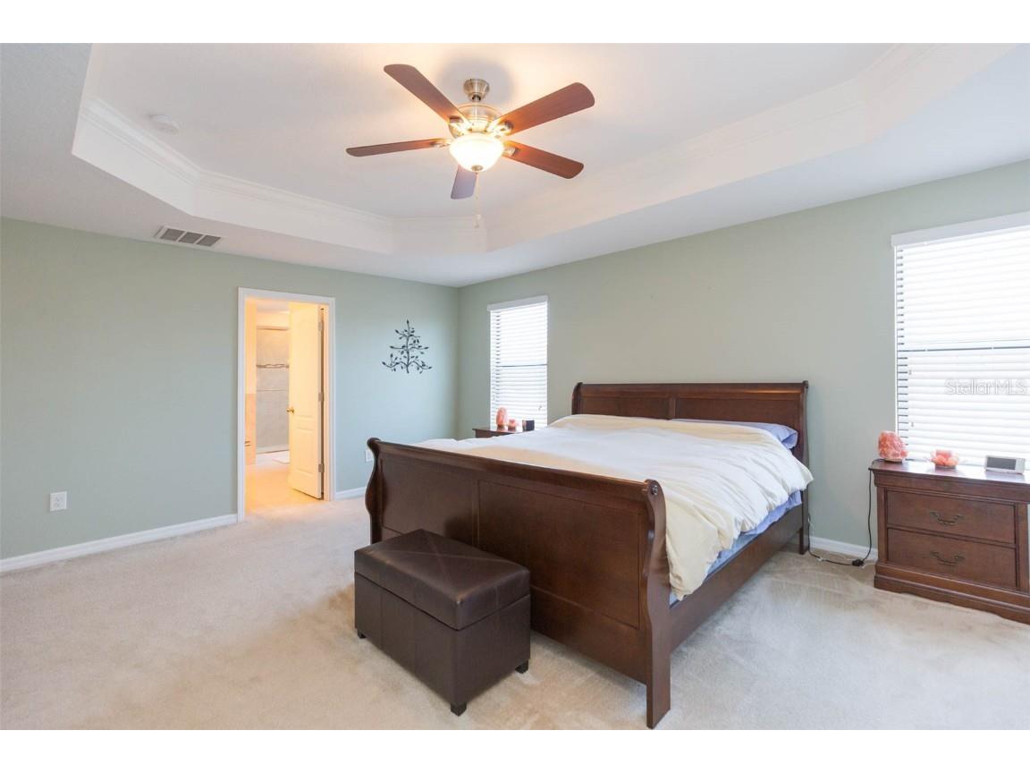 11109 Carrick Stone Street Wimauma FL 33598 TB8381931 image39