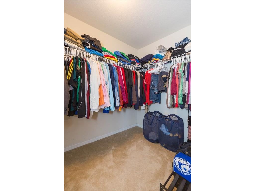 11109 Carrick Stone Street Wimauma FL 33598 TB8381931 image44