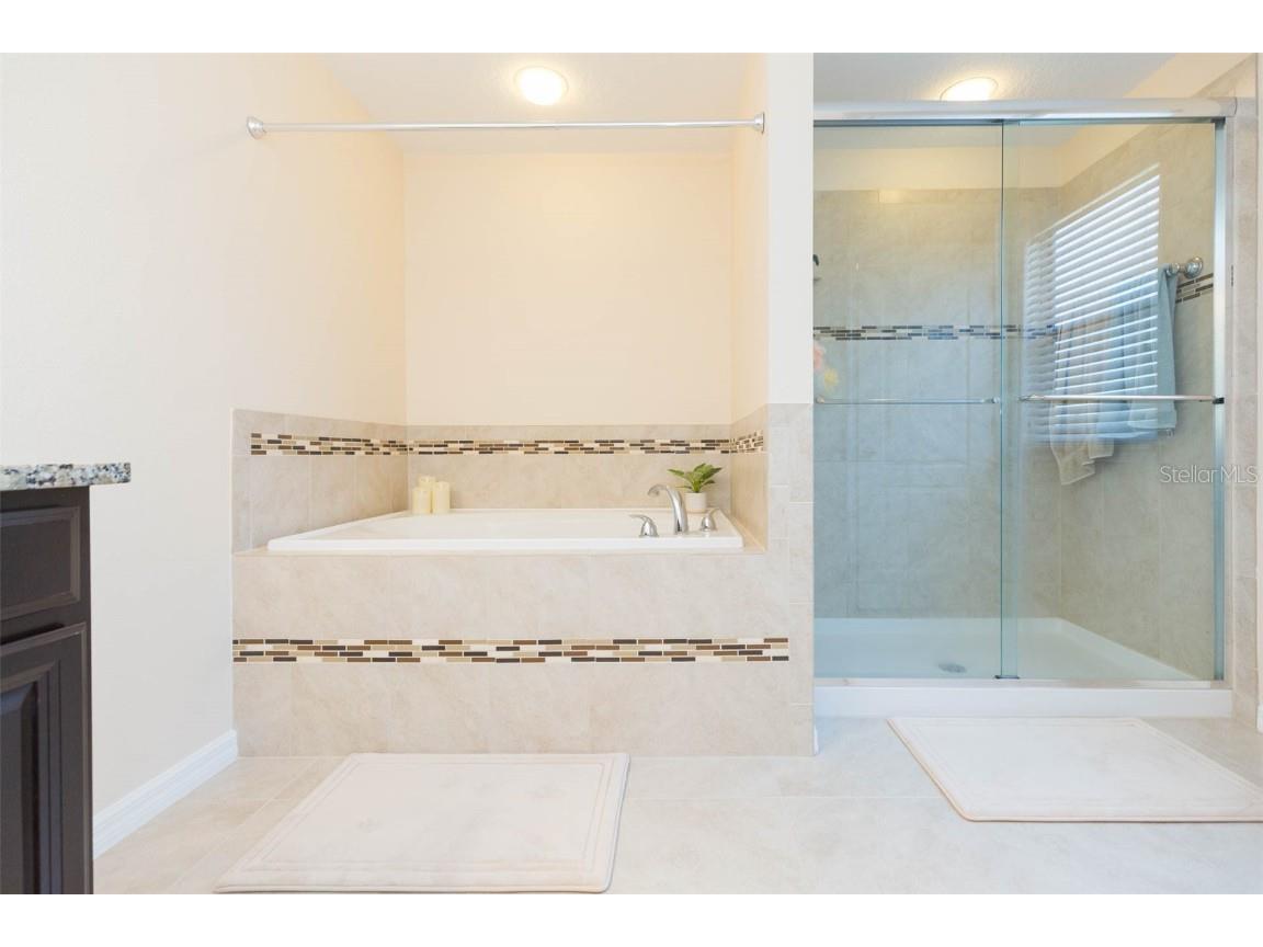 11109 Carrick Stone Street Wimauma FL 33598 TB8381931 image47