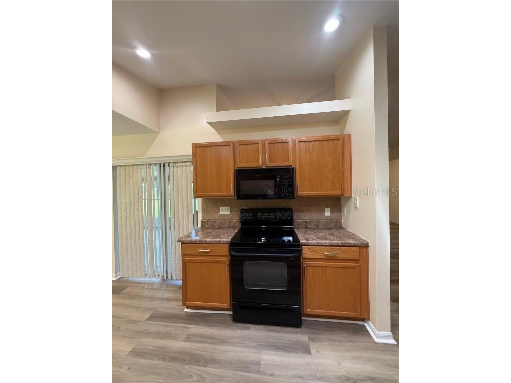 11109 Jenkins Court San Antonio FL 33576 TB8412843 image9