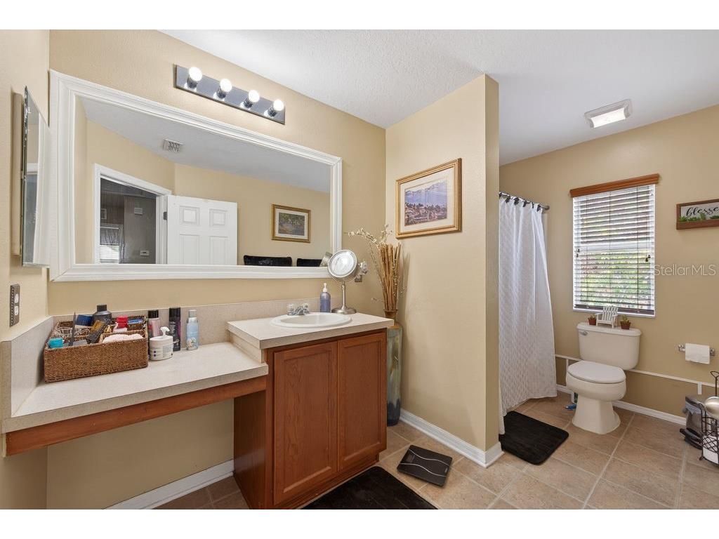 11109 Silver Fern Way Riverview FL 33569 TB8518387 image29