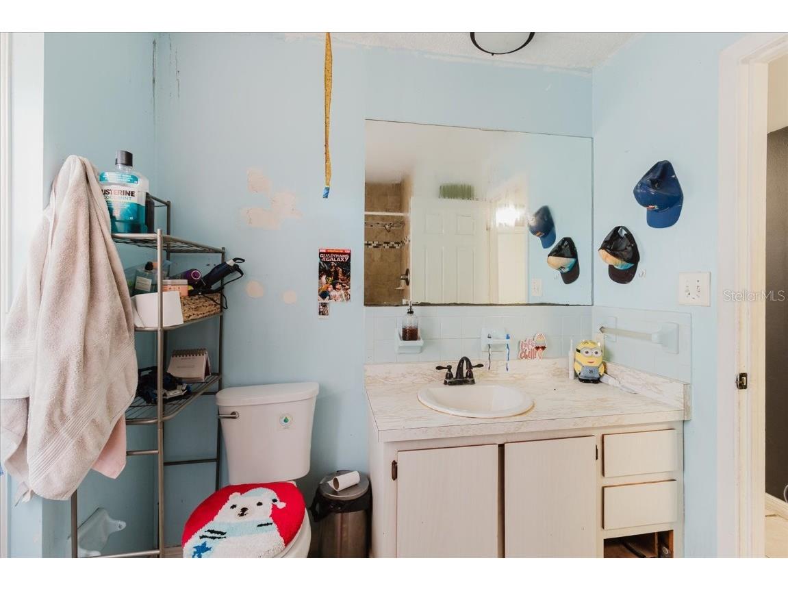 11109 Sumner Road Wimauma FL 33598 TB8401937 image54