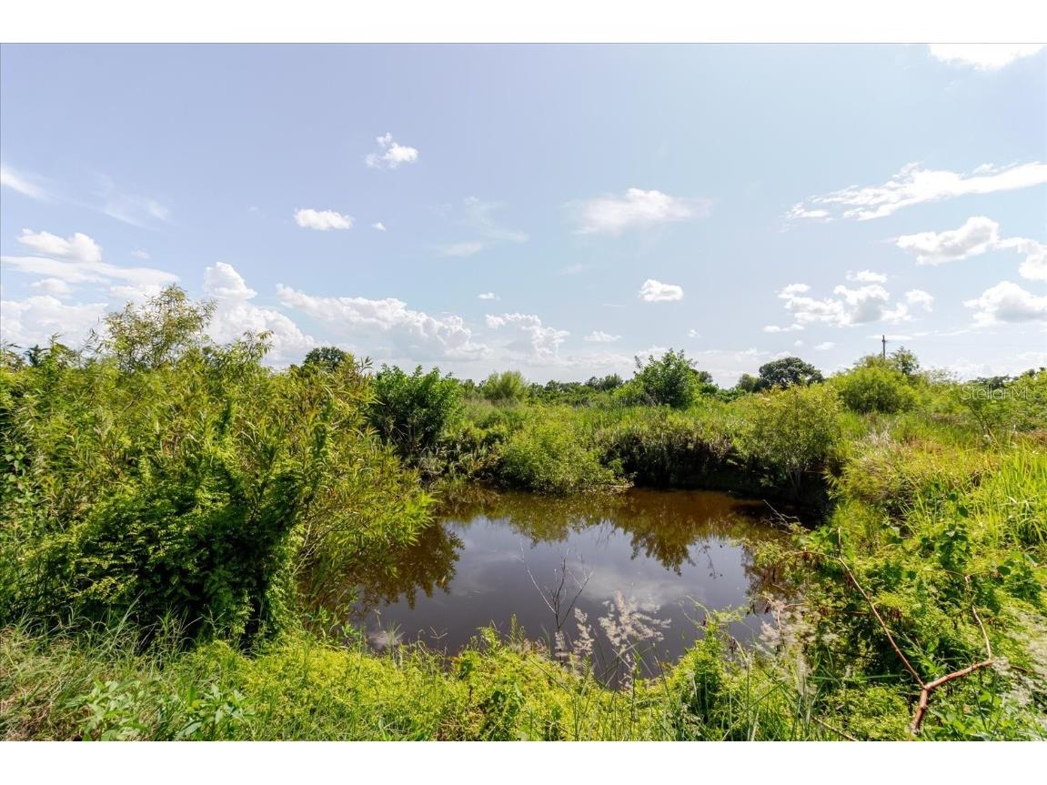 11109 Sumner Road Wimauma FL 33598 TB8401937 image93