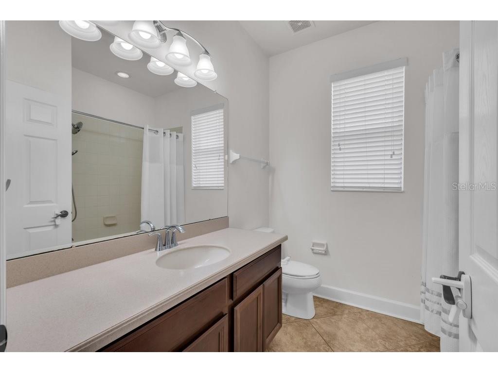 11109 Wembley Landing Drive Lithia FL 33547 TB8527159 image19