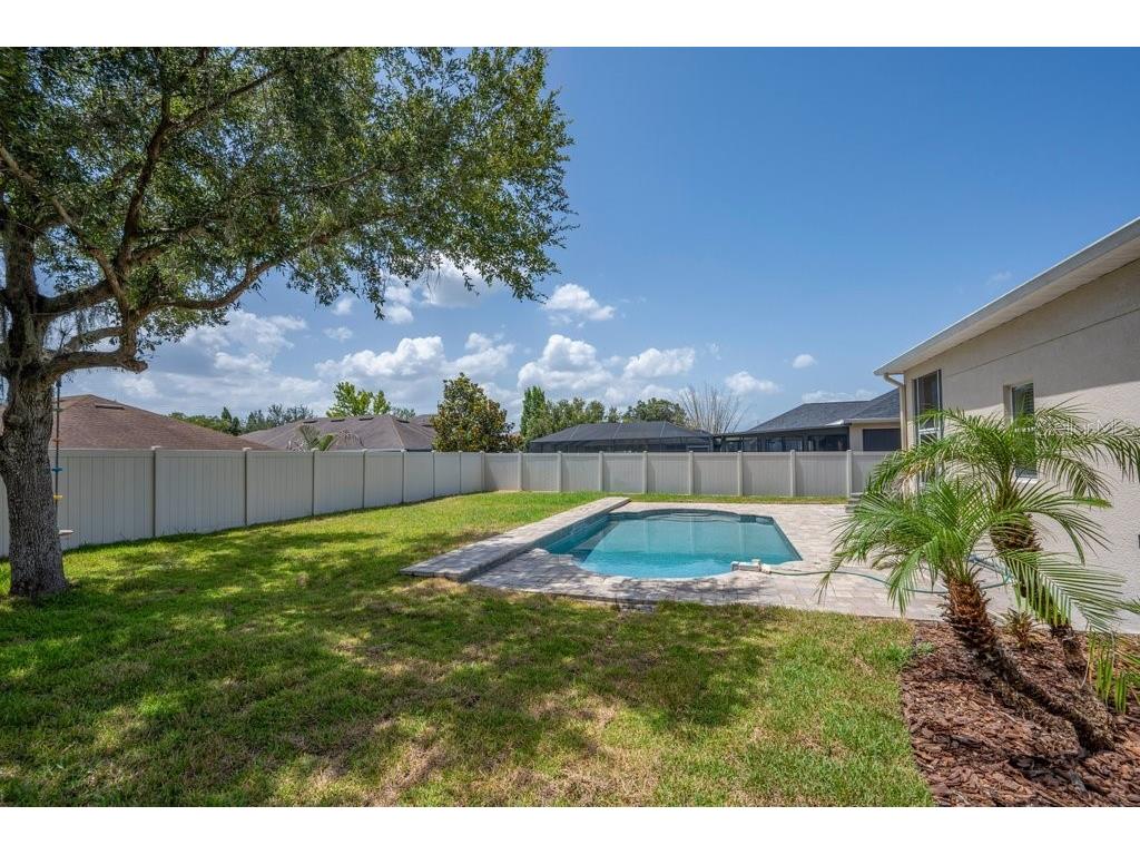 11109 Wembley Landing Drive Lithia FL 33547 TB8527159 image36