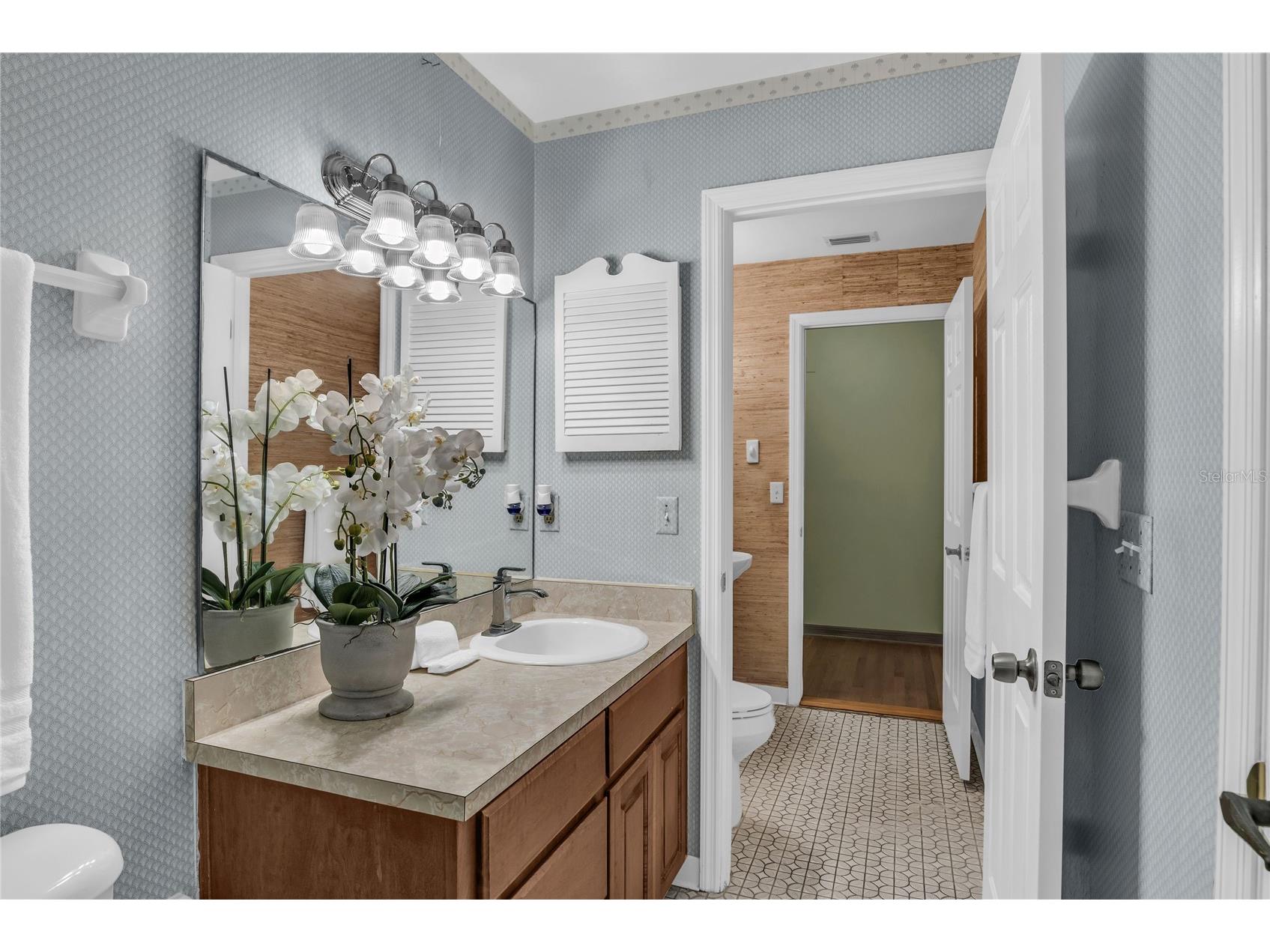 1111 Audubon Way Maitland FL 32751 - LAKE SYBELIA O6382602 image7