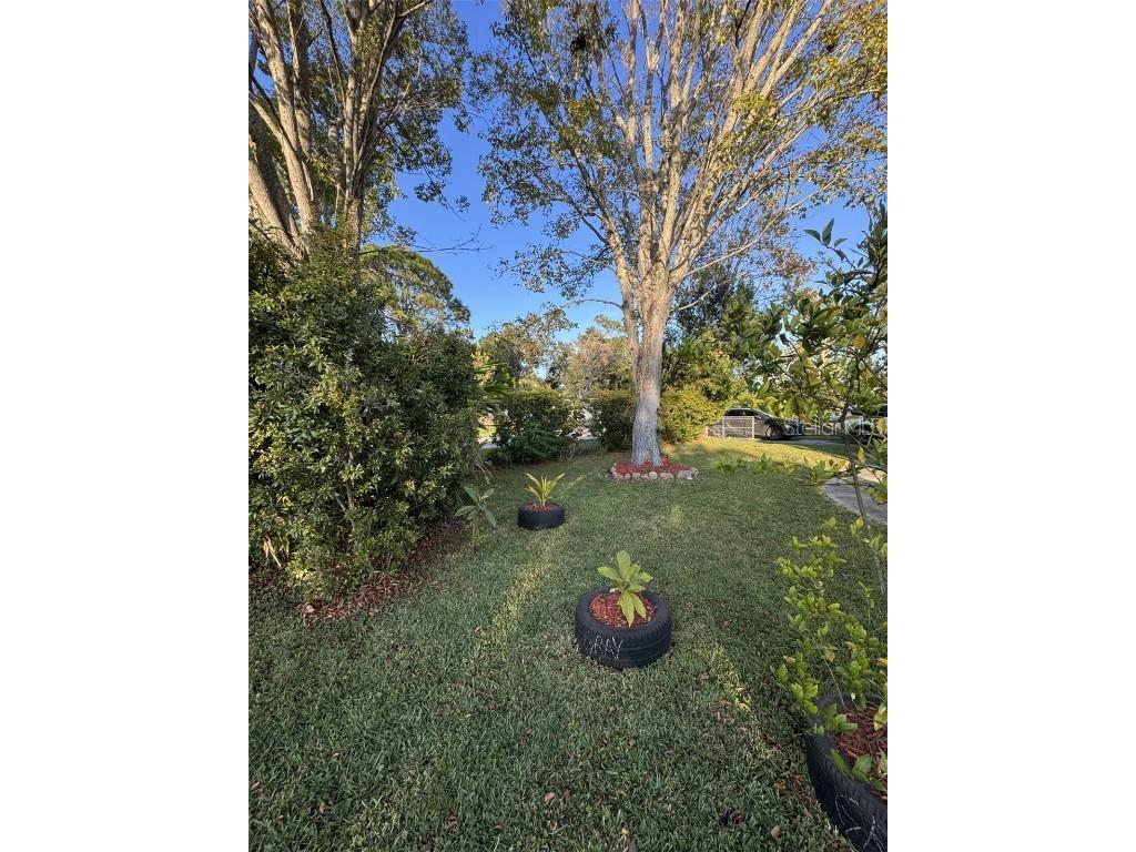 1111 Avenue G Ormond Beach FL 32174 FC314364 image51