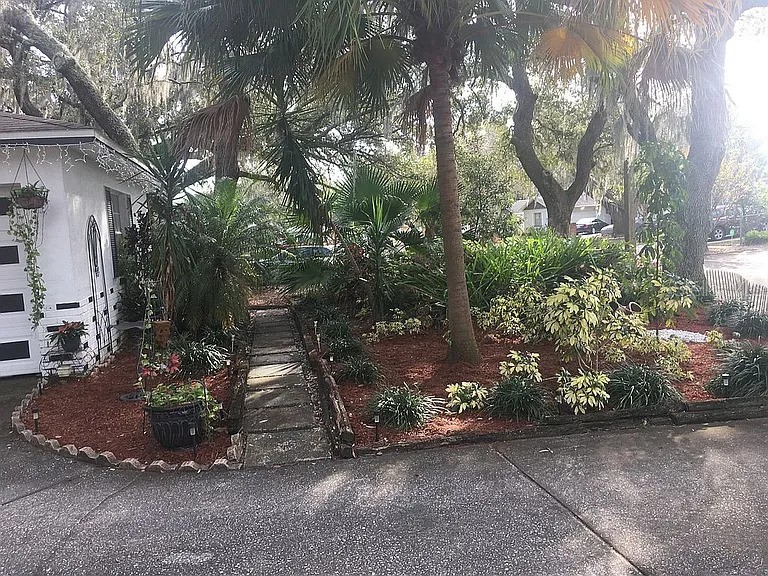 1111 Bristolwood Street Brandon FL 33510 P4936262 image6