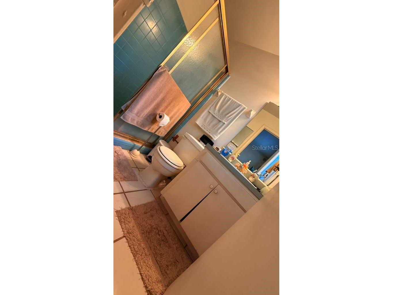 1111 Bristolwood Street Brandon FL 33510 TB8493038 image11