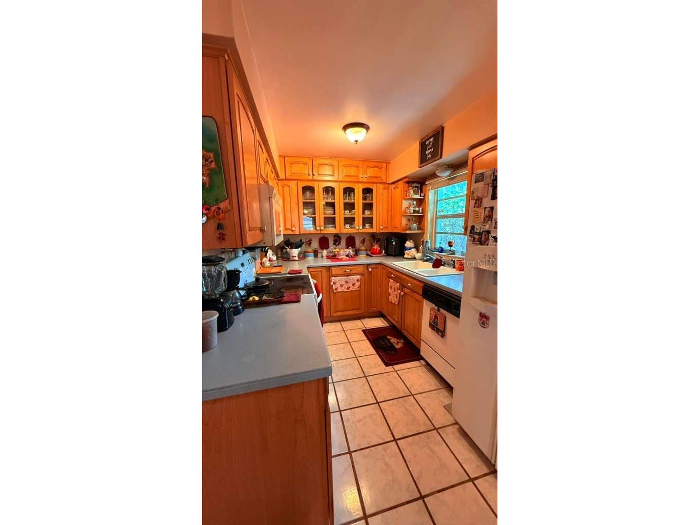 1111 Bristolwood Street Brandon FL 33510 TB8493038 image9