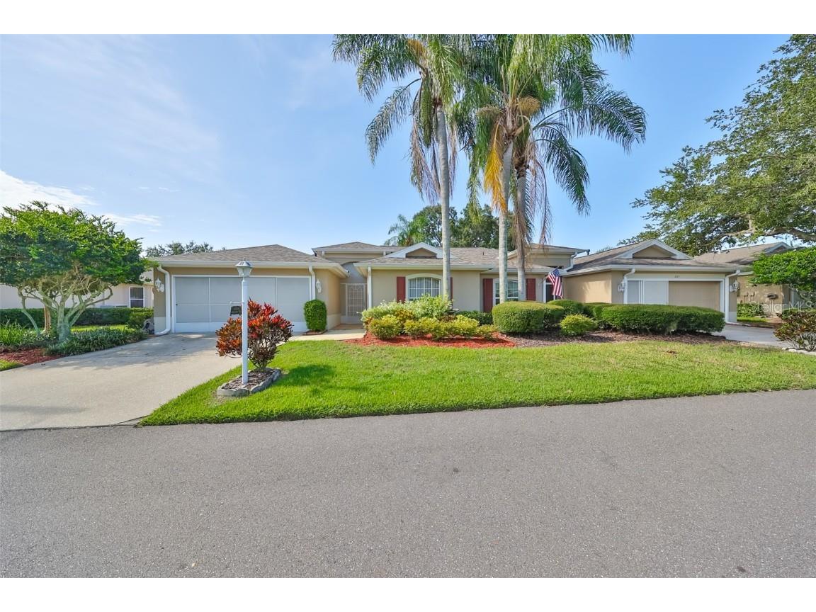 1111 Corinth Greens Drive Sun City Center FL 33573 T3541934 image1