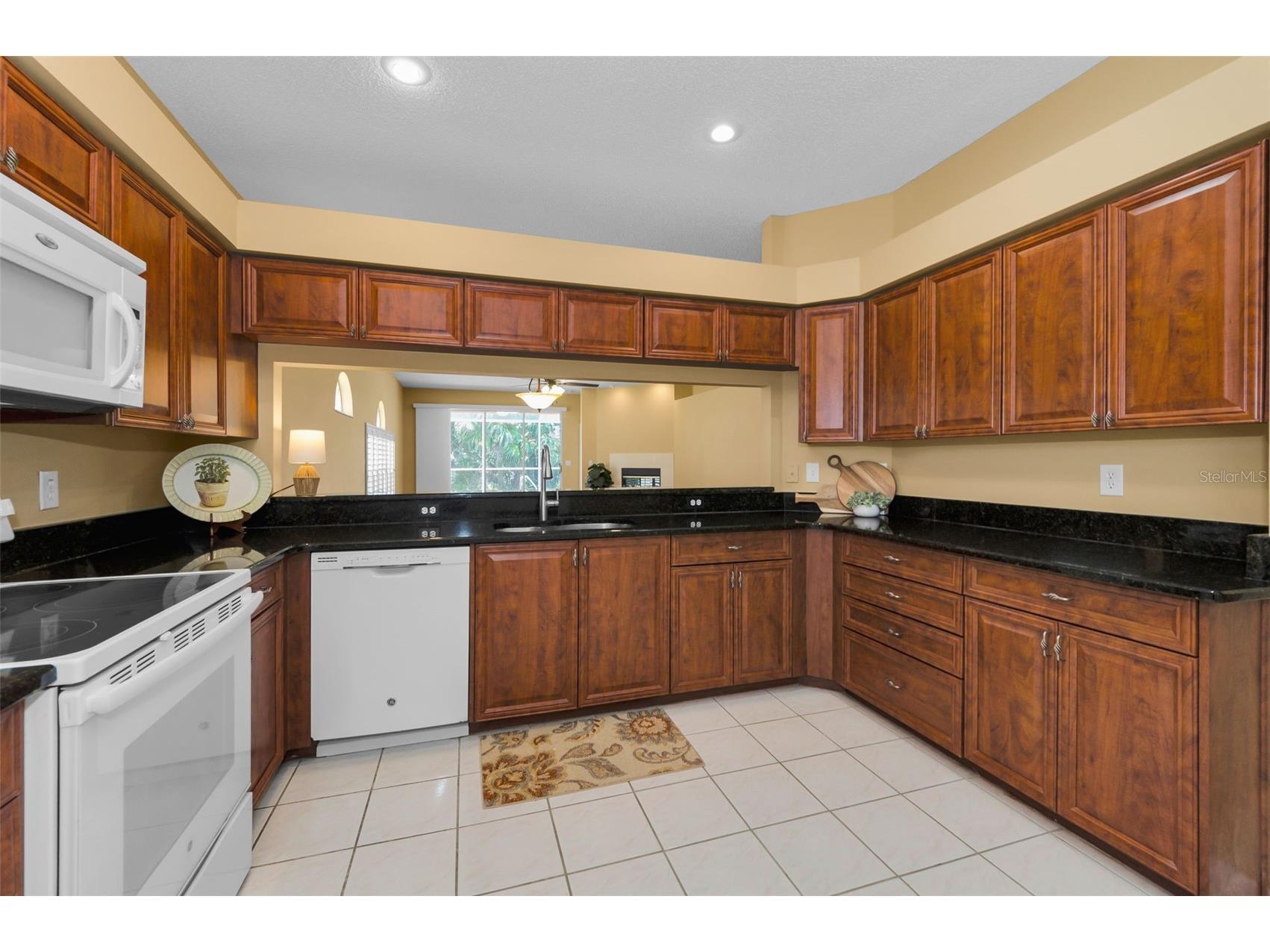 1111 Dartford Drive Tarpon Springs FL 34688 TB8530217 image21