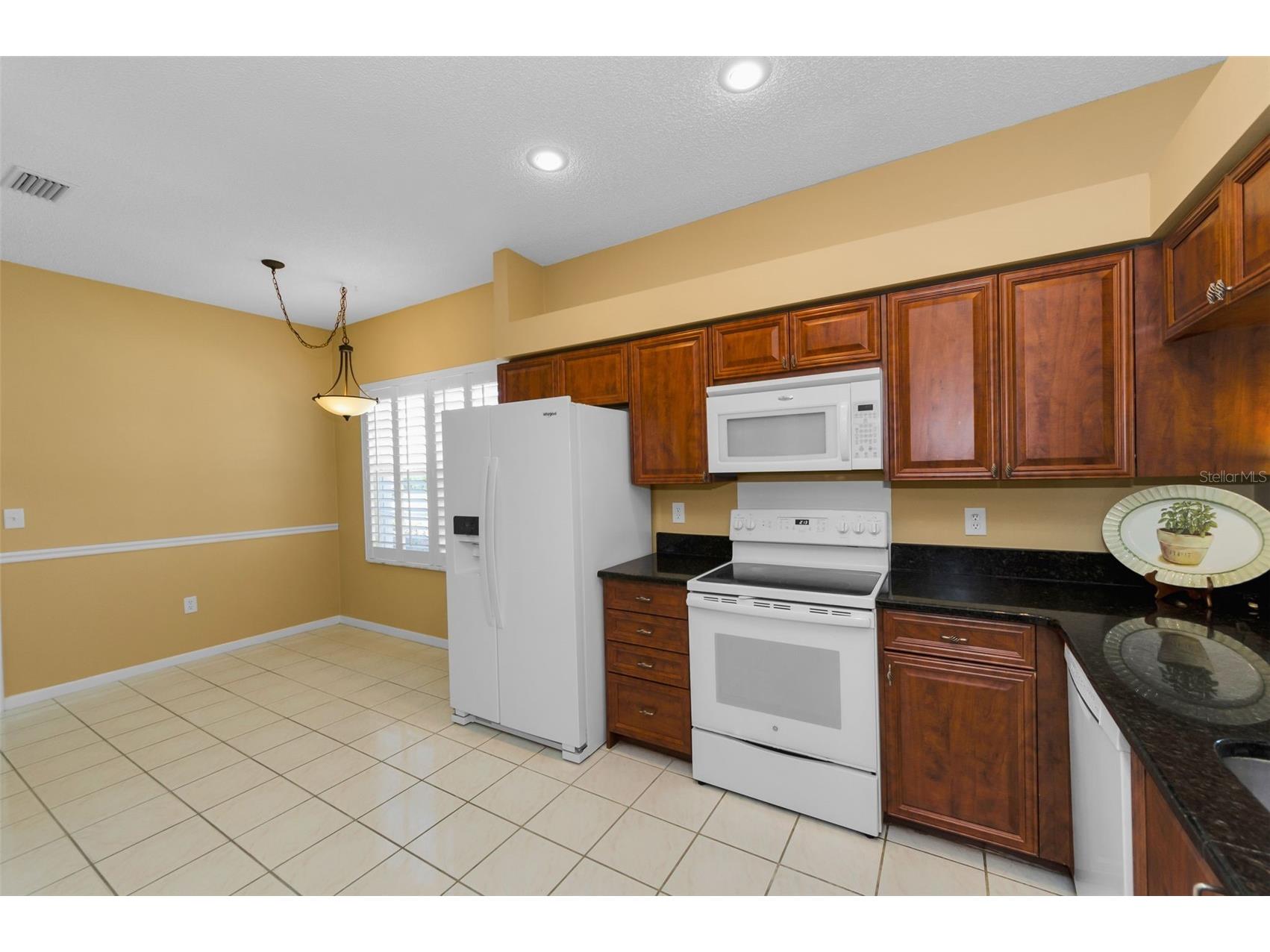 1111 Dartford Drive Tarpon Springs FL 34688 TB8530217 image24