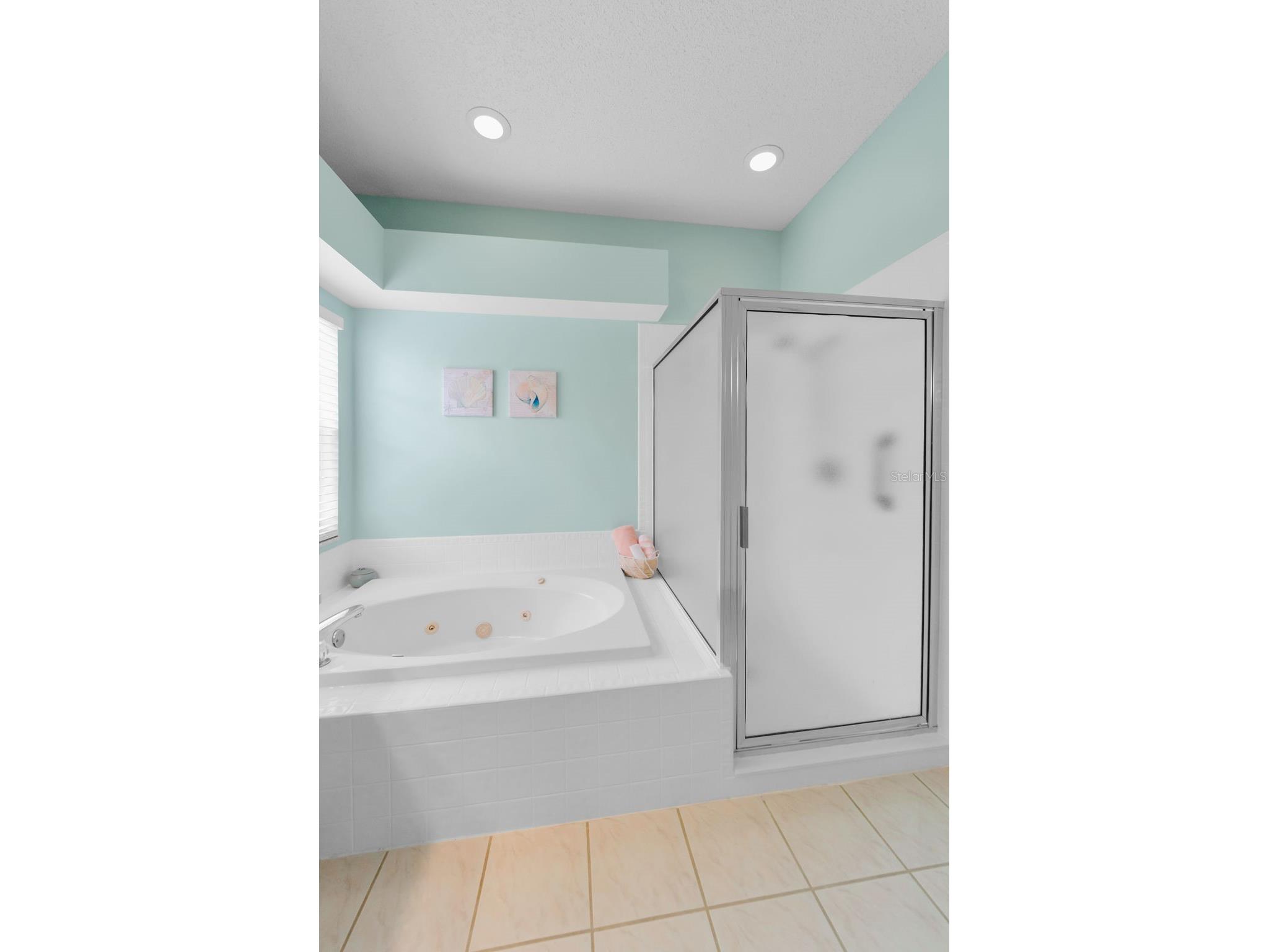 1111 Dartford Drive Tarpon Springs FL 34688 TB8530217 image32