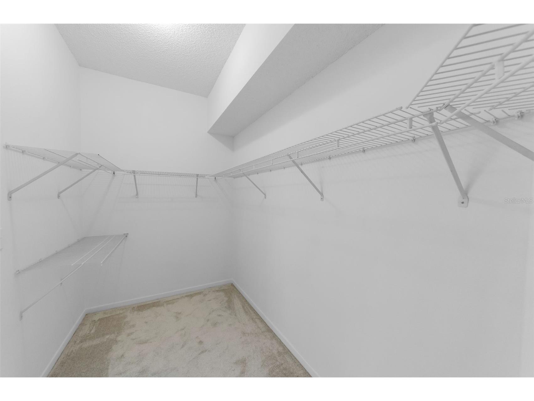 1111 Dartford Drive Tarpon Springs FL 34688 TB8530217 image33