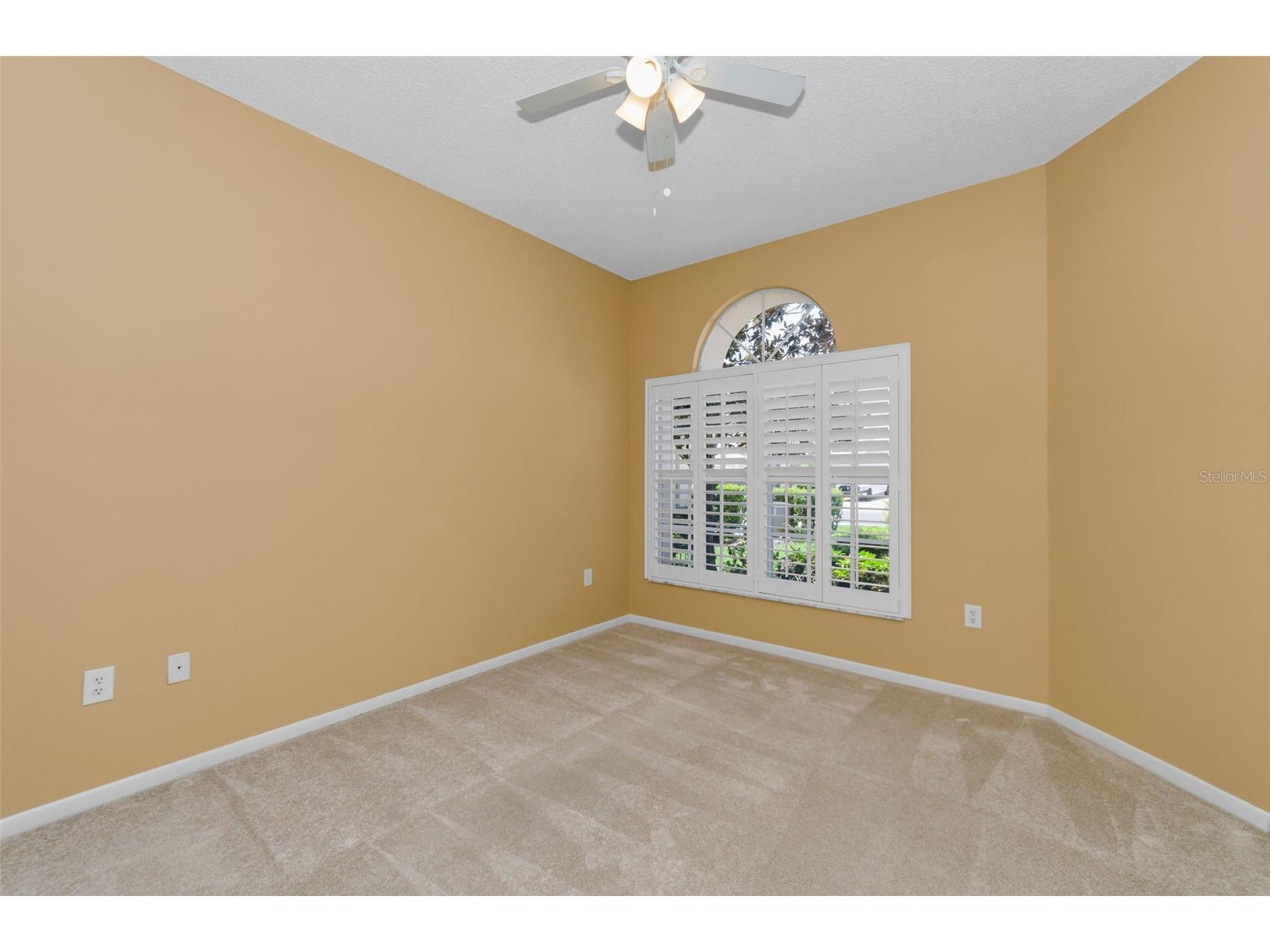 1111 Dartford Drive Tarpon Springs FL 34688 TB8530217 image35