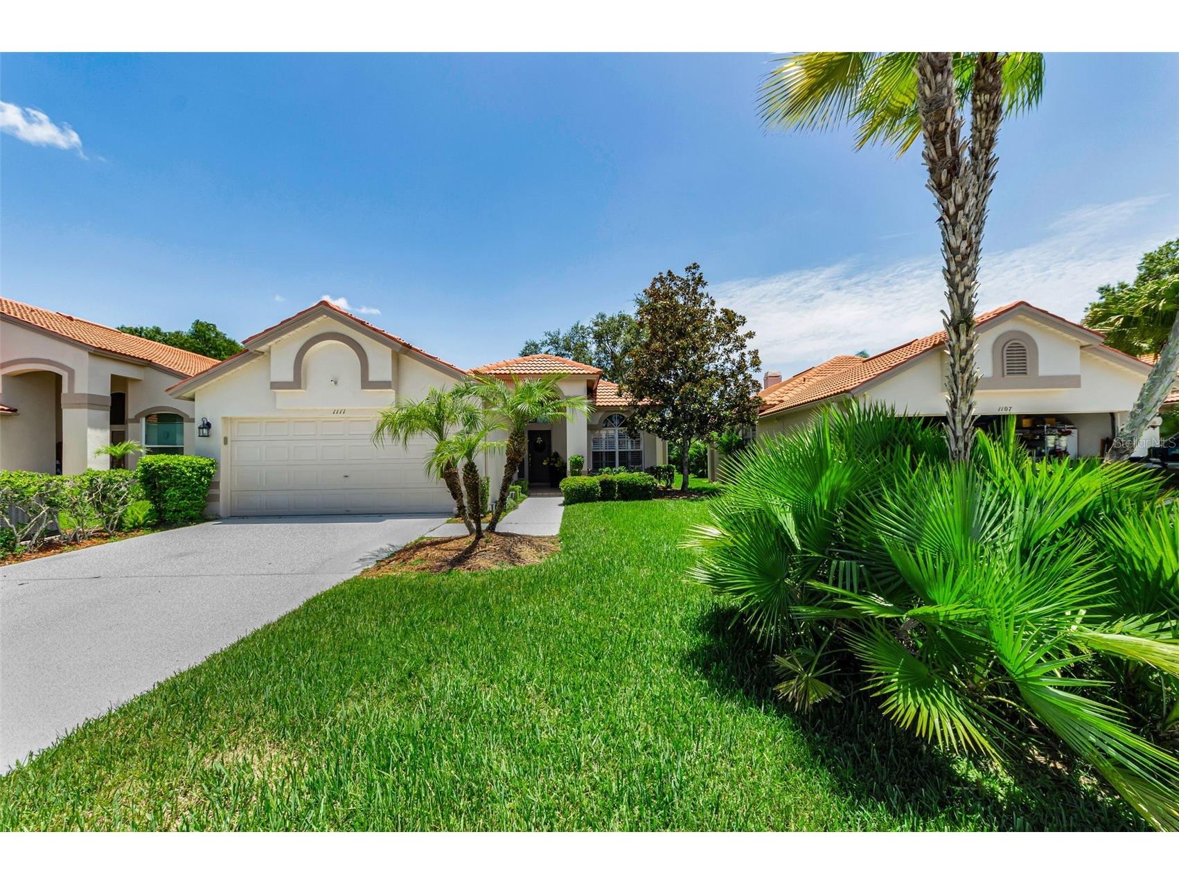 1111 Dartford Drive Tarpon Springs FL 34688 TB8530217 image5