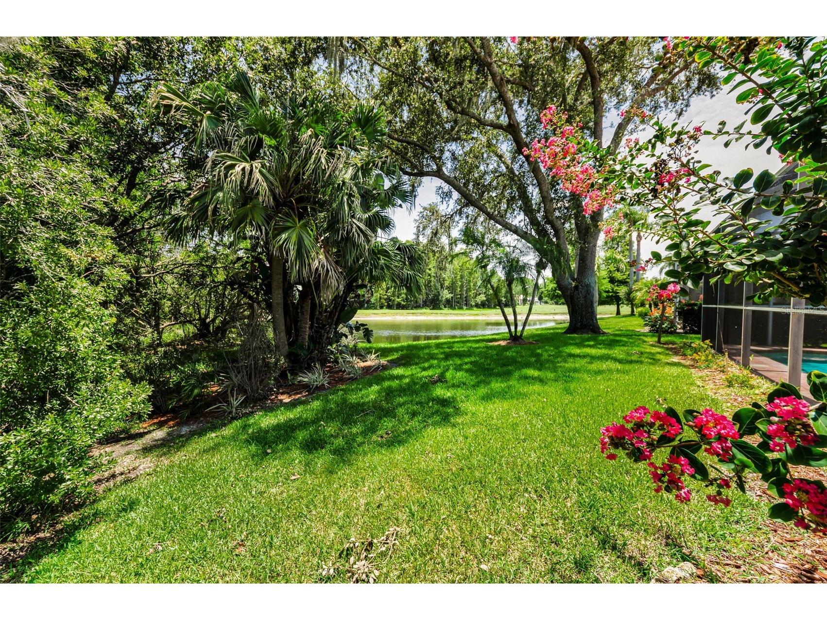 1111 Dartford Drive Tarpon Springs FL 34688 TB8530217 image54